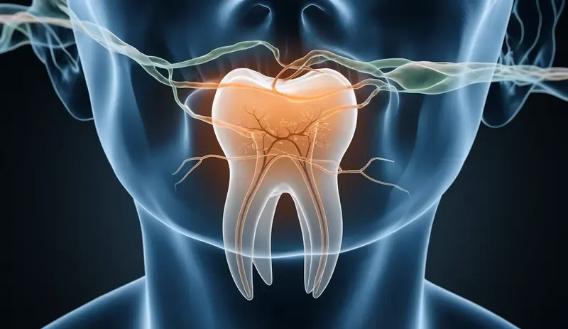 What Causes Tooth Root Resorption in 2025